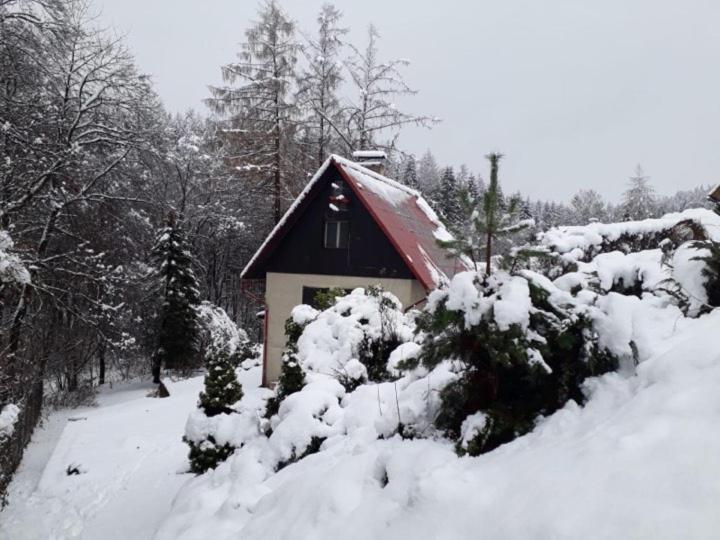 Chata U Koupaliste Chřibská Exterior foto